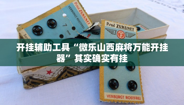 实测辅助”德扑之星透视开挂”其实确实有挂