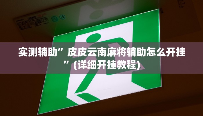 实测辅助”皮皮云南麻将辅助怎么开挂”(详细开挂教程)