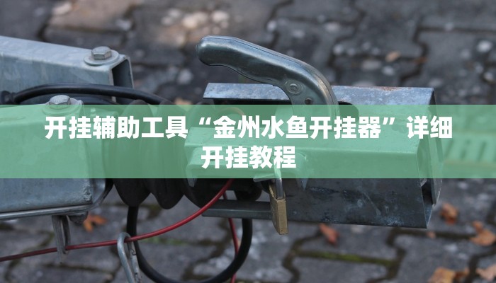 开挂辅助工具“金州水鱼开挂器”详细开挂教程