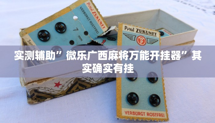 实测辅助”微乐广西麻将万能开挂器”其实确实有挂
