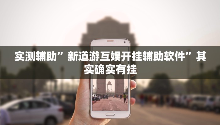 实测辅助”新道游互娱开挂辅助软件”其实确实有挂