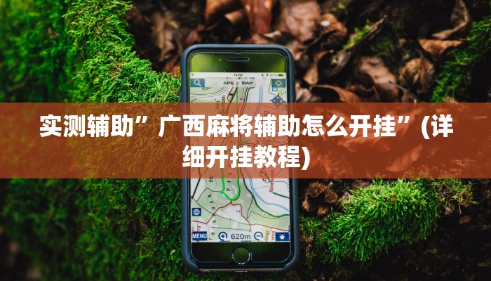 实测辅助”广西麻将辅助怎么开挂”(详细开挂教程)
