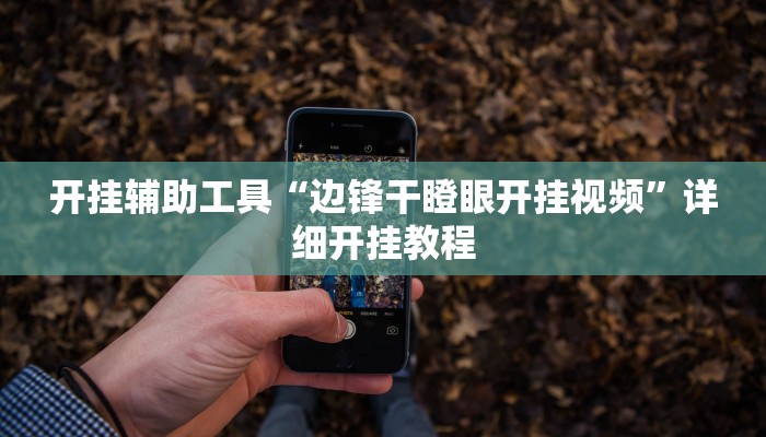 实测辅助”中至吉安王炸比奖调胜率”详细开挂教程
