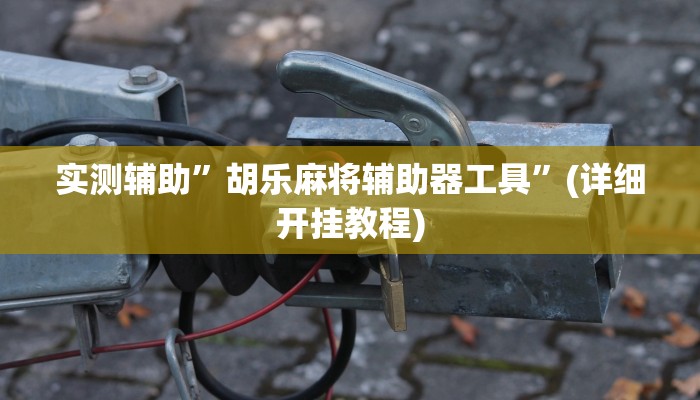实测辅助”胡乐麻将辅助器工具”(详细开挂教程)