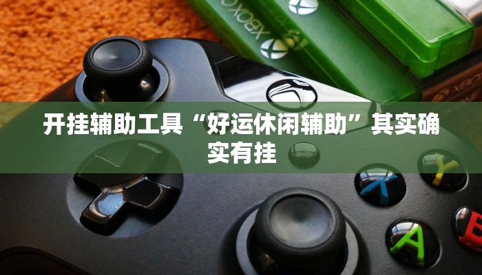 开挂辅助工具“好运休闲辅助”其实确实有挂