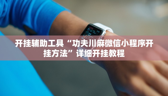 开挂辅助工具“功夫川麻微信小程序开挂方法”详细开挂教程