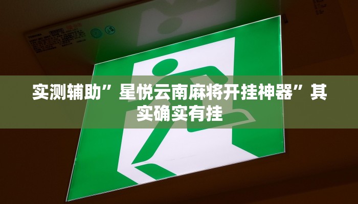 实测辅助”WePoker作弊辅助透视详细”(详细开挂教程)