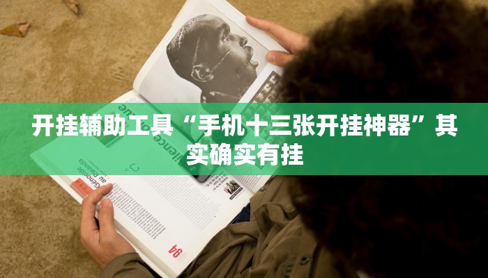 开挂辅助工具“手机十三张开挂神器”其实确实有挂