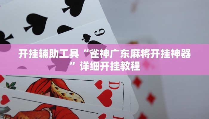 开挂辅助工具“雀神广东麻将开挂神器”详细开挂教程