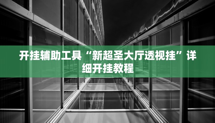 开挂辅助工具“新超圣大厅透视挂”详细开挂教程