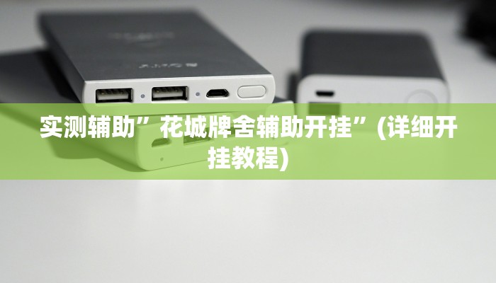 实测辅助”花城牌舍辅助开挂”(详细开挂教程)