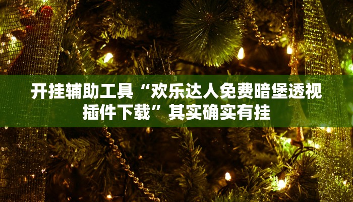 开挂辅助工具“欢乐达人免费暗堡透视插件下载”其实确实有挂