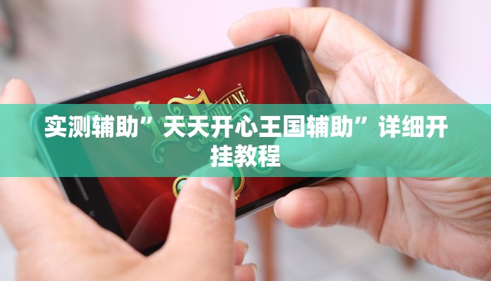 实测辅助”天天开心王国辅助”详细开挂教程