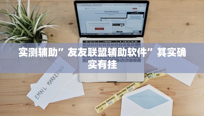 实测辅助”友友联盟辅助软件”其实确实有挂