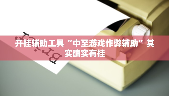 开挂辅助工具“中至游戏作弊辅助”其实确实有挂