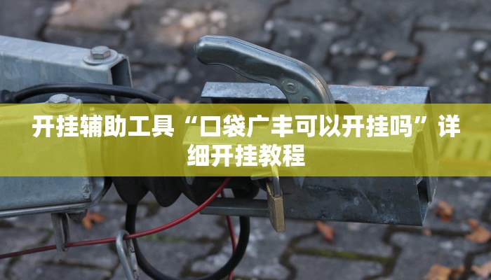 开挂辅助工具“口袋广丰可以开挂吗”详细开挂教程