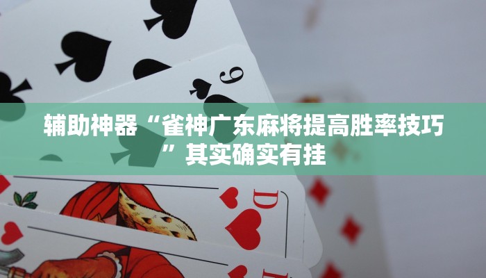 辅助神器“雀神广东麻将提高胜率技巧”其实确实有挂