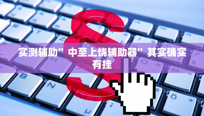 实测辅助”中至上饶辅助器”其实确实有挂