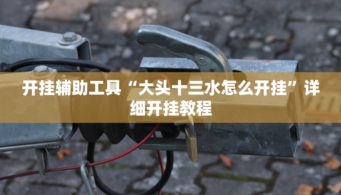 开挂辅助工具“大头十三水怎么开挂”详细开挂教程