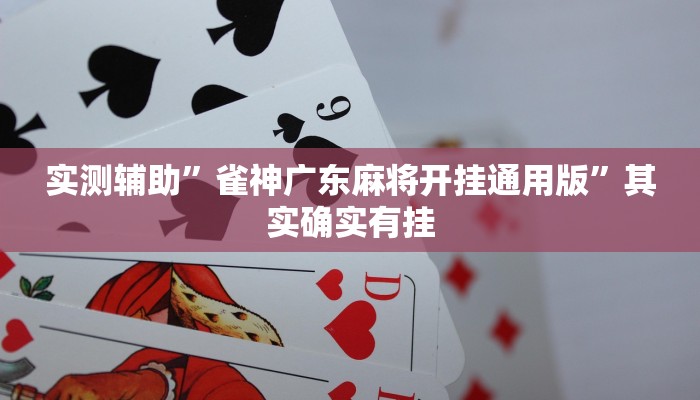 实测辅助”雀神广东麻将开挂通用版”其实确实有挂