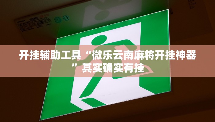 开挂辅助工具“微乐云南麻将开挂神器”其实确实有挂