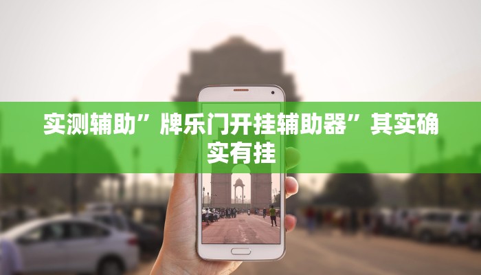 实测辅助”牌乐门开挂辅助器”其实确实有挂