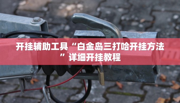 开挂辅助工具“白金岛三打哈开挂方法”详细开挂教程