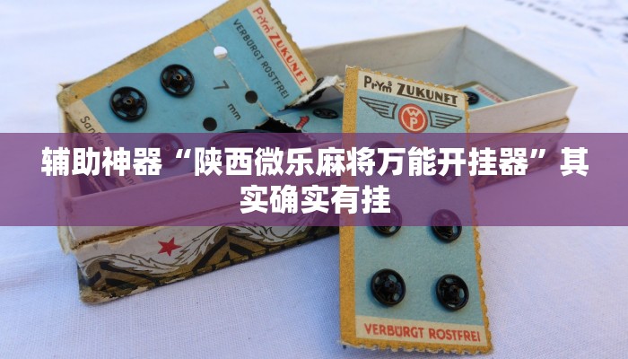 辅助神器“陕西微乐麻将万能开挂器”其实确实有挂