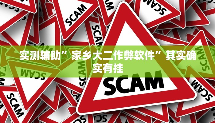 实测辅助”家乡大二作弊软件”其实确实有挂