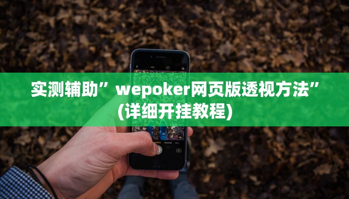 实测辅助”wepoker网页版透视方法”(详细开挂教程)