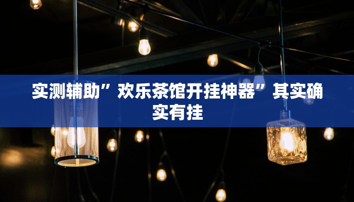 实测辅助”欢乐茶馆开挂神器”其实确实有挂