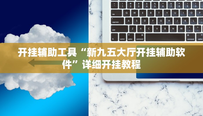 开挂辅助工具“新九五大厅开挂辅助软件”详细开挂教程