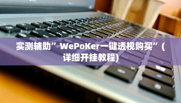 实测辅助”WePoKer一键透视购买”(详细开挂教程)