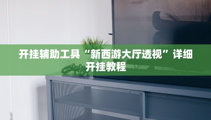 开挂辅助工具“新西游大厅透视”详细开挂教程