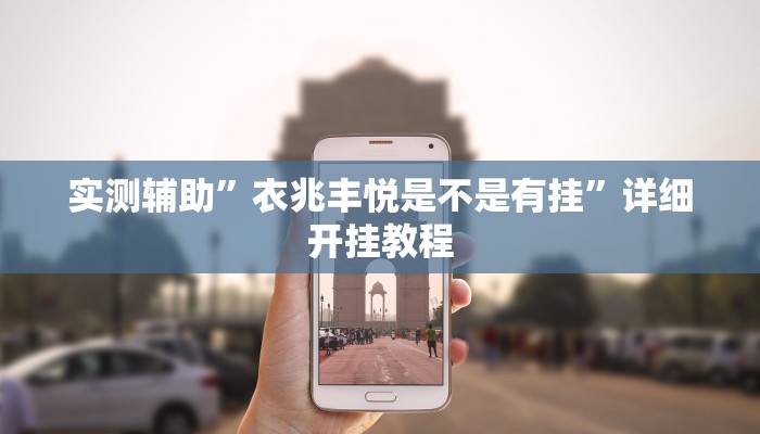 实测辅助”衣兆丰悦是不是有挂”详细开挂教程