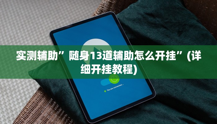 实测辅助”随身13道辅助怎么开挂”(详细开挂教程)
