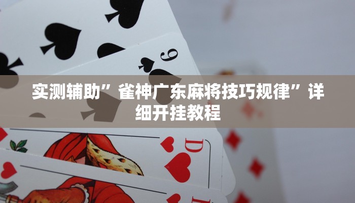 实测辅助”雀神广东麻将技巧规律”详细开挂教程