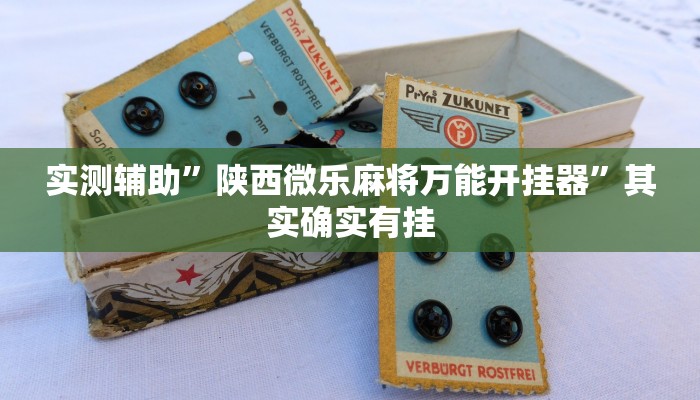 实测辅助”陕西微乐麻将万能开挂器”其实确实有挂