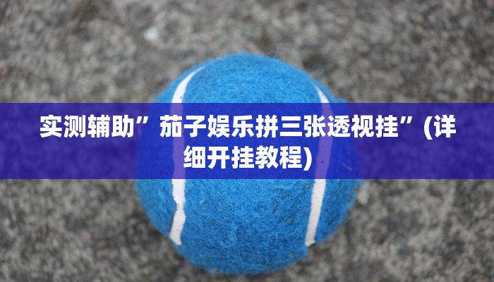 实测辅助”茄子娱乐拼三张透视挂”(详细开挂教程)