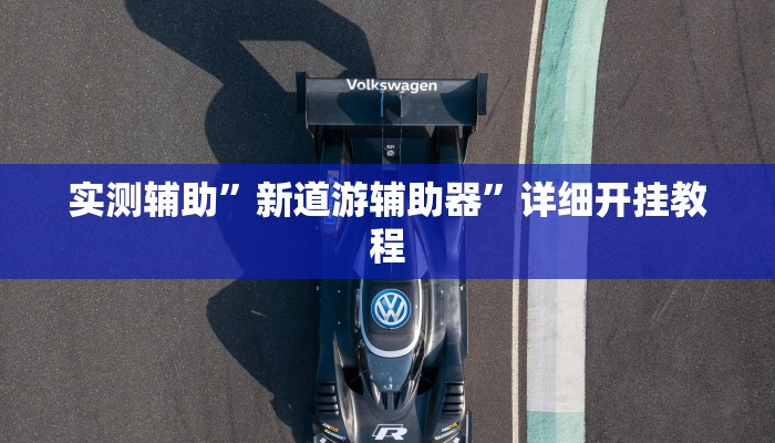 实测辅助”新道游辅助器”详细开挂教程