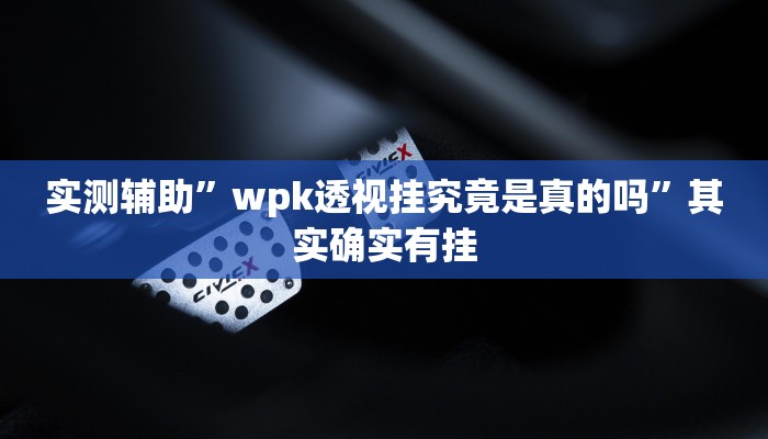 实测辅助”wpk透视挂究竟是真的吗”其实确实有挂