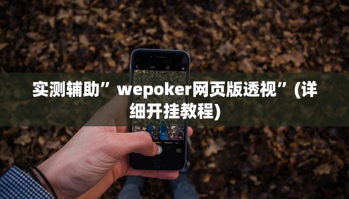 实测辅助”wepoker网页版透视”(详细开挂教程)
