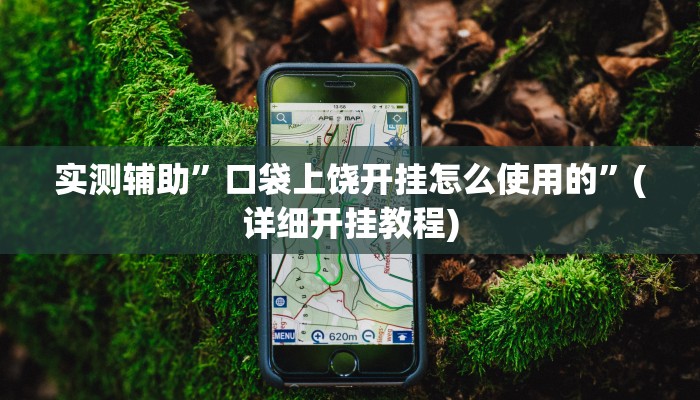 实测辅助”口袋上饶开挂怎么使用的”(详细开挂教程)