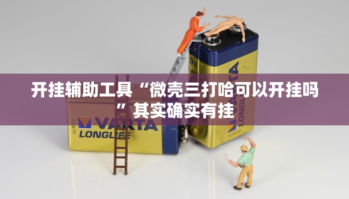 开挂辅助工具“微壳三打哈可以开挂吗”其实确实有挂