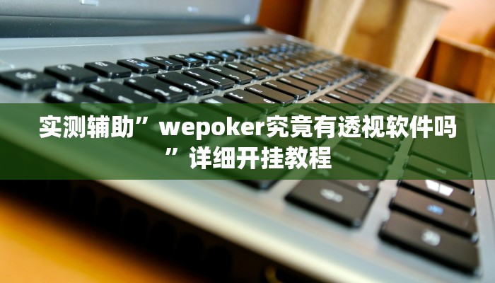 实测辅助”wepoker究竟有透视软件吗”详细开挂教程