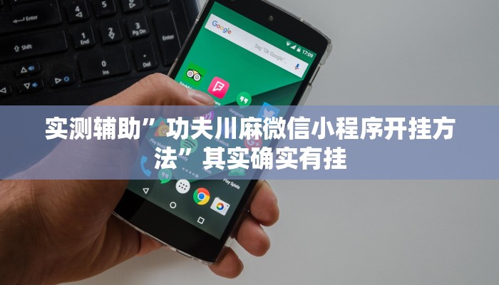 实测辅助”功夫川麻微信小程序开挂方法”其实确实有挂