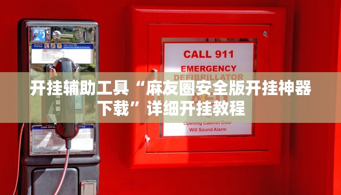 开挂辅助工具“麻友圈安全版开挂神器下载”详细开挂教程