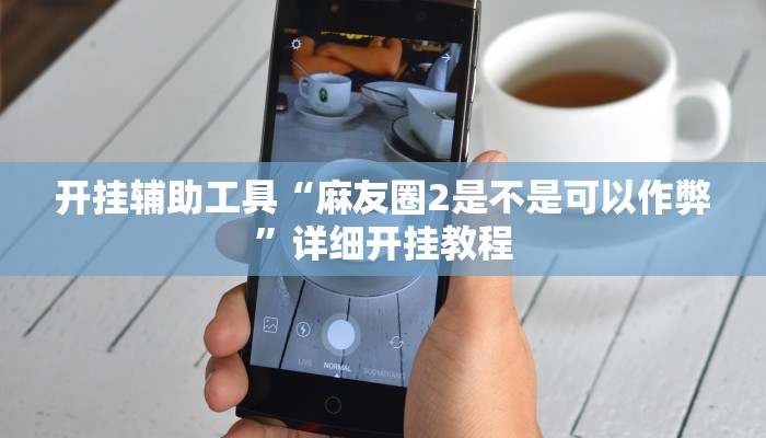 开挂辅助工具“麻友圈2是不是可以作弊”详细开挂教程