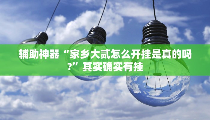 辅助神器“家乡大贰怎么开挂是真的吗?”其实确实有挂