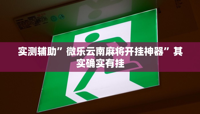 实测辅助”微乐云南麻将开挂神器”其实确实有挂